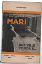 Mari Une Ville Perdue... Et Retrouvée Par L'archéologie Française