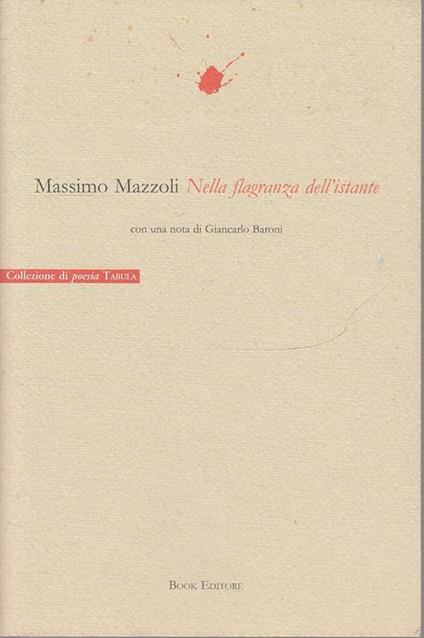 Nella flagranza dell'istante - Massimo Mazzoli - copertina