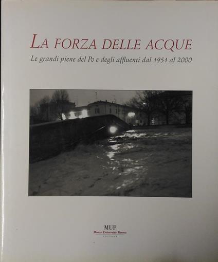 La forza delle acque. Le piene dal 1951 al 2000 - copertina