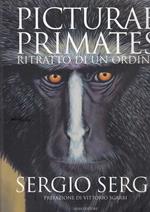 Picturae Primates Ritratto Ordine