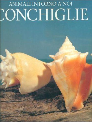 Conchiglie - Andrew Cleave - copertina