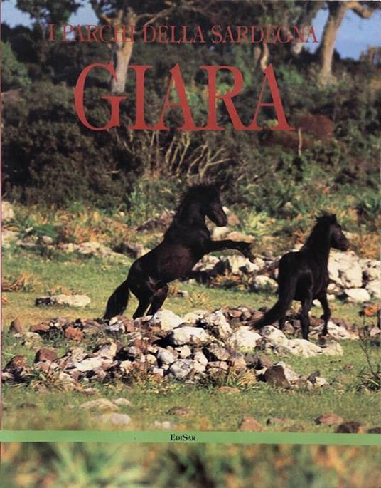 Giara - copertina