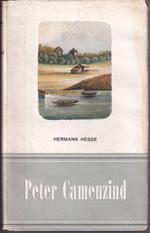 Peter Camenzind