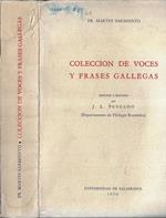 Coleccion de voces y frases gallegas