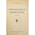 Sociologia criminale