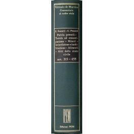 Patria potestà. Tutela ed emancipazione. Minori. Interdizione e inabilitazione. Alimenti. Atti dello stato civile. Art. 315-455 - Ettore Protettì - copertina