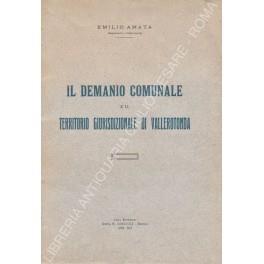 Il demanio comunale e il territorio giurisdizionale di Vallerotonda - Emiliano Amata - copertina