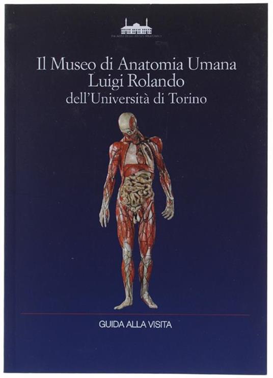 Il MUSEO DI ANATOMIA UMANA LUIGI ROLANDO DELL'UNIVERSITA' DI TORINO. Guida alla visita - copertina