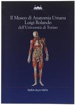 Il MUSEO DI ANATOMIA UMANA LUIGI ROLANDO DELL'UNIVERSITA' DI TORINO. Guida alla visita