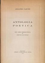 Antologia poetica