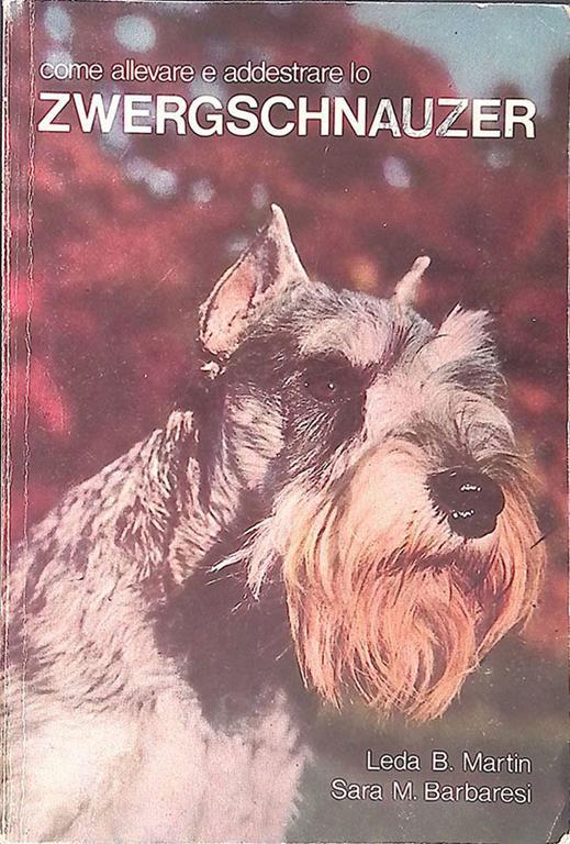 Come allevare o addestrare lo Zwergschnauzer - copertina