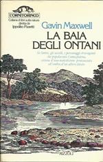 La baia degli ontani