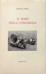 Il mare nella conchiglia