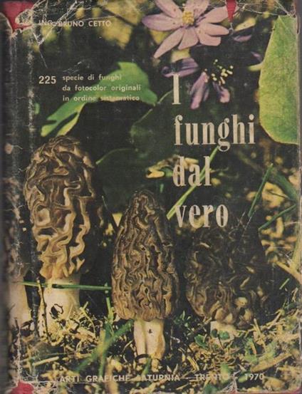 I  funghi dal vero: 225 specie di funghi da fotocolor originali in ordine sistematico - Bruno Cetto - copertina