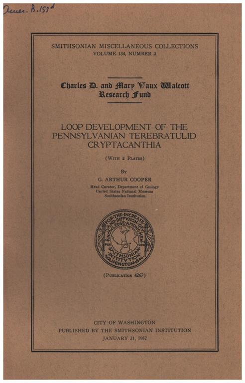 Loop development of the Pennsulvanian terebratulid cryptacanthia - 2