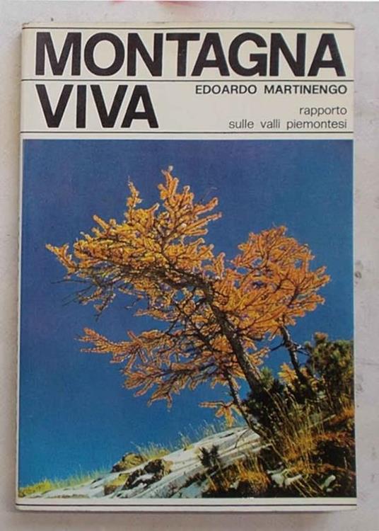 Montagna viva. Rapporto sulle valli piemontesi - Edoardo Marengo - copertina