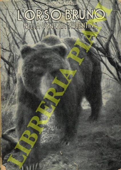 L' orso bruno (Ursus arctos arctos, L.) nella Venezia Tridentina - Guido Castelli - copertina