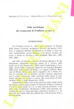 Sulla morfologia dei cromosomi di Fritillaria persica L