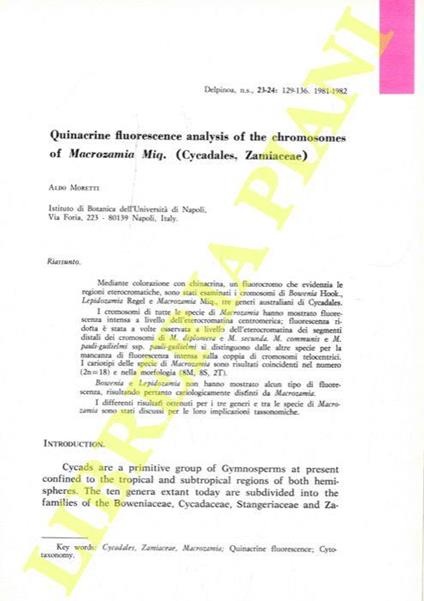 Quinacrine fluorescence analysis of the chromosomes of Macrozamia Miq. (Cycadales, Zamiaceae) - Aldo Moretti - copertina
