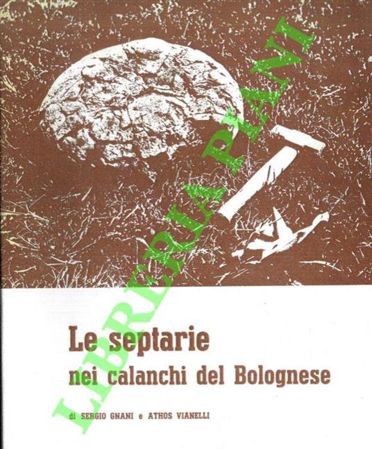 Le septarie nei calanchi del Bolognese - Sergio Gnani - copertina