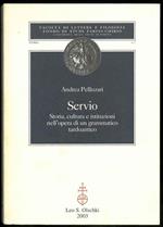 Servio. Storia, cultura e istituzioni nell'opera di un grammatico tardoantico