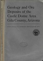 Geology and ore deposits of the Castle Dome Area Gila County, Arizona