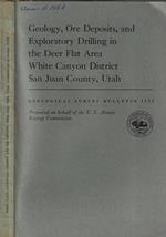 Geology, Ore deposits, and exploratory drilling in the deer flat area white canyon district San Juan County, Utah