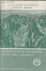 Mineral resources of the Sturgeon River Wilderness Study Area, Houghton and Baraga Counties, Michigan