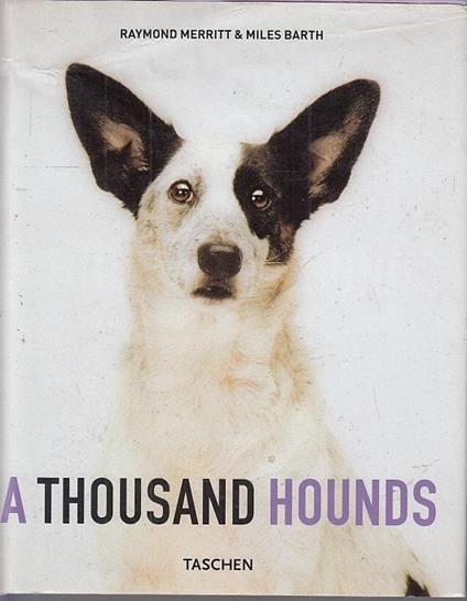 A Thousand Hounds - copertina