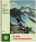 IN EIS UND URGESTEIN. 100 klassische Gipfeltouren in den Zentralalpen