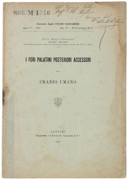 I Fori Palatini Posteriori Accessori Nel Cranio Umano - Marco Pitzorno - copertina