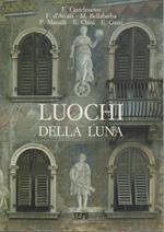 Luochi della luna: le facciate affrescate a Trento: copia in brossura.