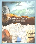 Il carbone bianco: l'energia elettrica nell'alto Garda: i primi cinquant'anni: 1890-1940