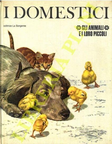 I domestici - L. Innocenti - copertina