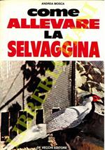 Come allevare la selvaggina