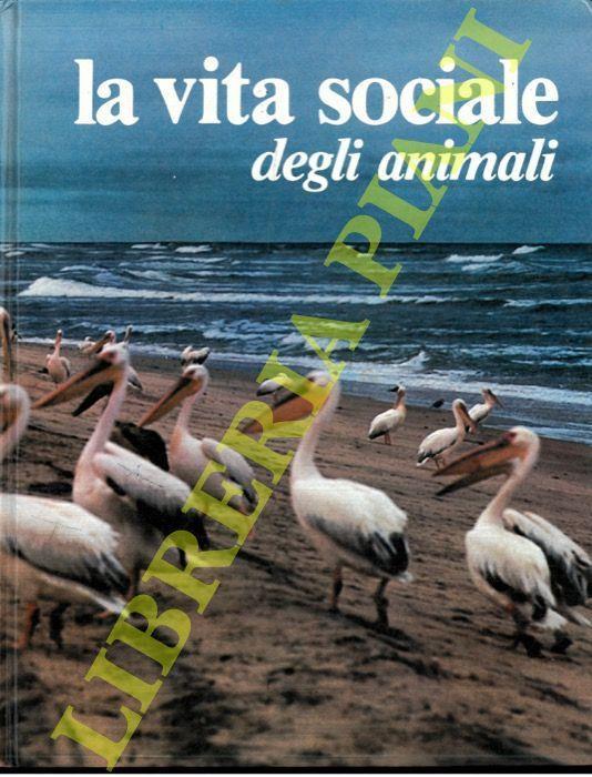La vita sociale degli animali - Federica Colombo - copertina