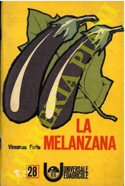 La melanzana - Vincenzo Forte - copertina
