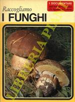 Raccogliamo i funghi