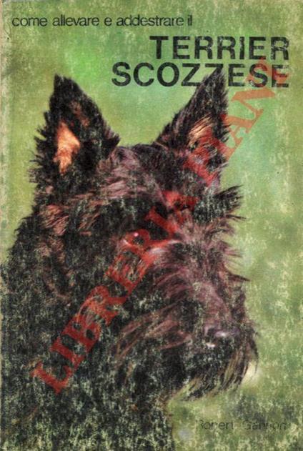 Come allevare e addestrare il Terrier Scozzese - Robert Gannon - copertina