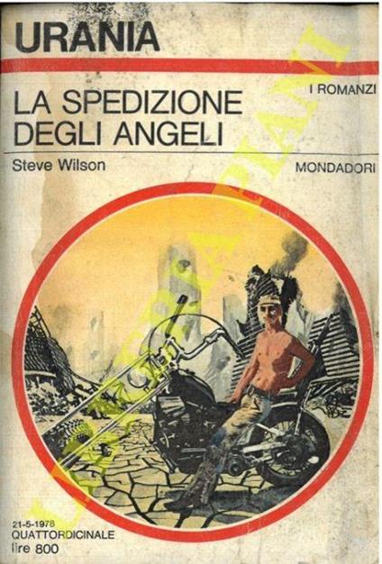 La spedizione degli angeli - Steve Wilson - copertina