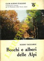 Boschi e alberi delle Alpi