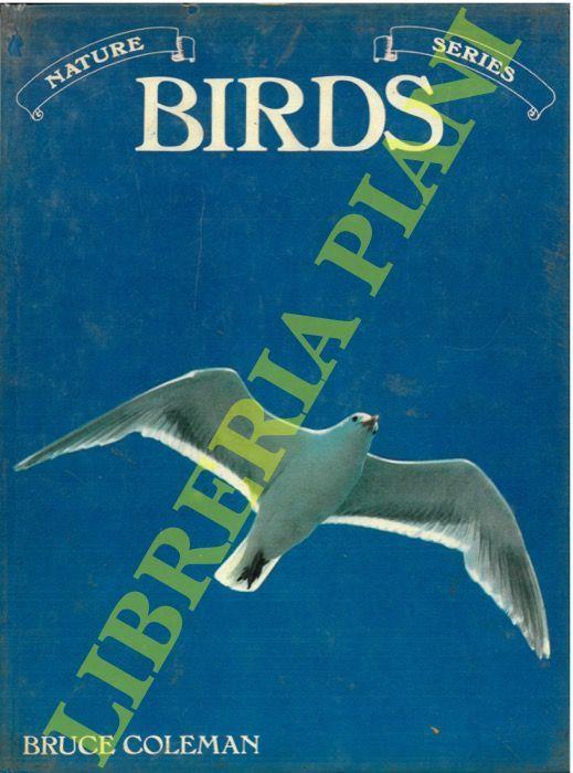 Birds - copertina