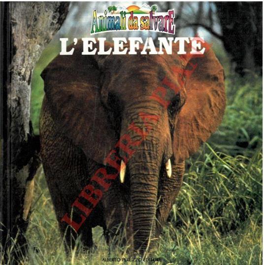 L' elefante. Animali da salvare - copertina