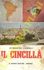 Il cincillà