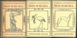 Prose di ricerca, di lotta, di comando, di conquista, di tormento, d'indovinamento, di rinnovamento, di celebrazione, di rivendicazione, di liberazione, di favole, di giochi, di balene. Opera completa in 3 volumi