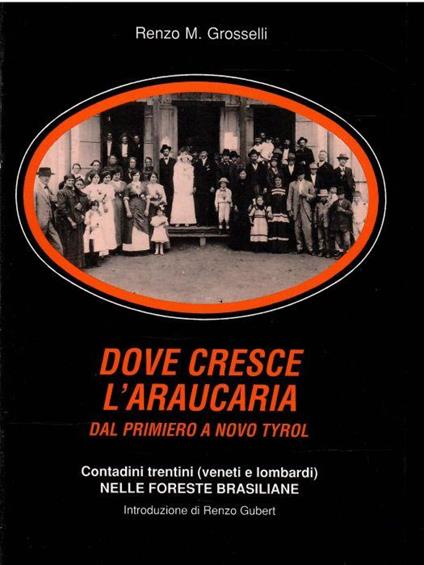 Dove Cresce L'araucaria. Dal Primiero a Novo Tyrol Contadini Trentini (Veneti e Lombardi) Nelle Foreste Brasiliane Parte Terza Paranà 1976-1940 - copertina