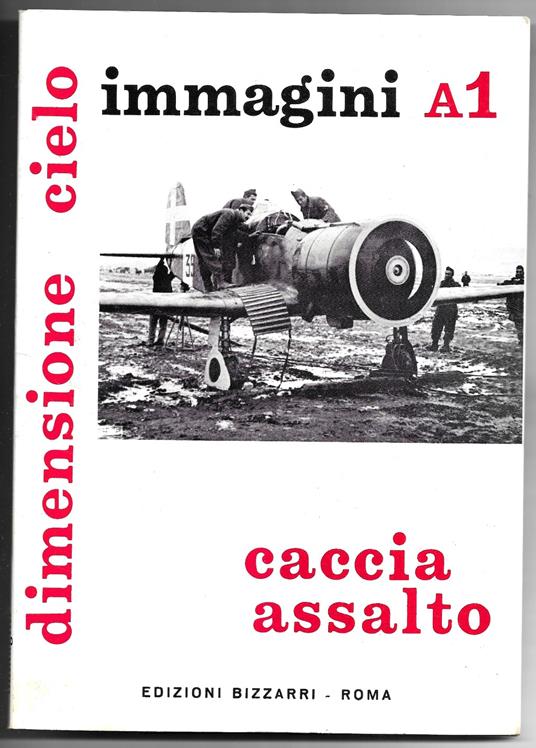 Immagini A1 - Caccia assalto - copertina