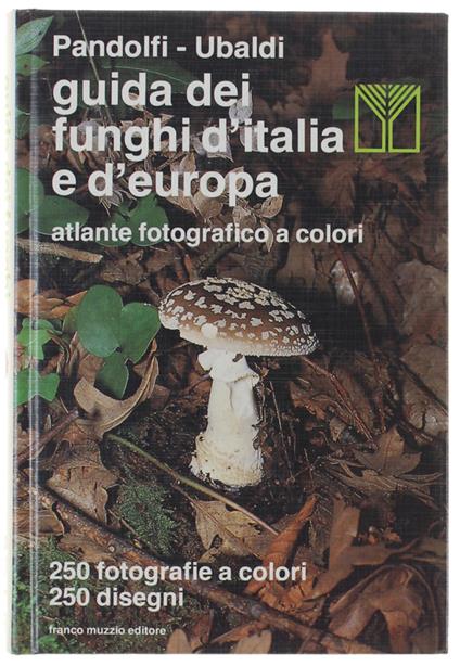 Guida Dei Funghi D'Italia E D'Europa. Atlante Fotografico A Colori - copertina