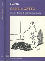 Cane & gatto