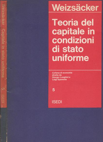 Teoria del capitale in condizioni di stato uniforme - copertina